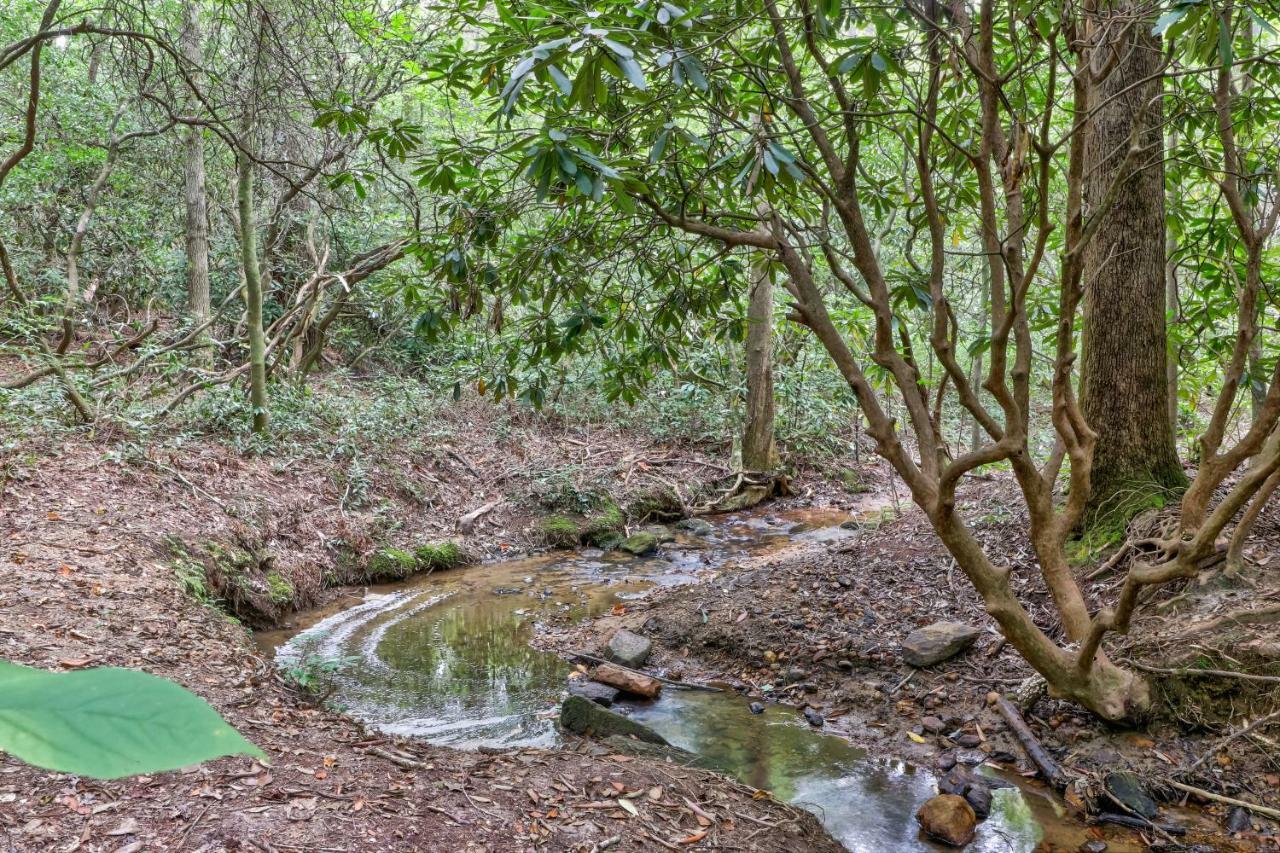Sautee Nacoochee Four Cubs In The Creek 빌라 외부 사진